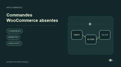 Animation explicative : Commandes WooCommerce absentes