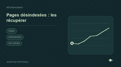 Animation explicative : Pages désindexées : les récupérer