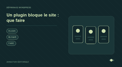 Animation explicative : Un plugin bloque le site : que faire