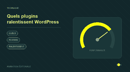 Animation explicative : Quels plugins ralentissent WordPress