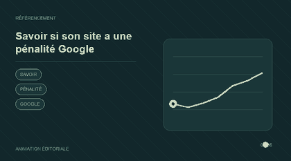 Animation explicative : Savoir si son site a une pénalité Google