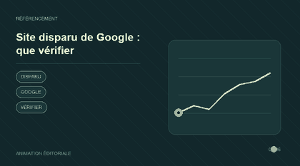 Animation explicative : Site disparu de Google : que vérifier