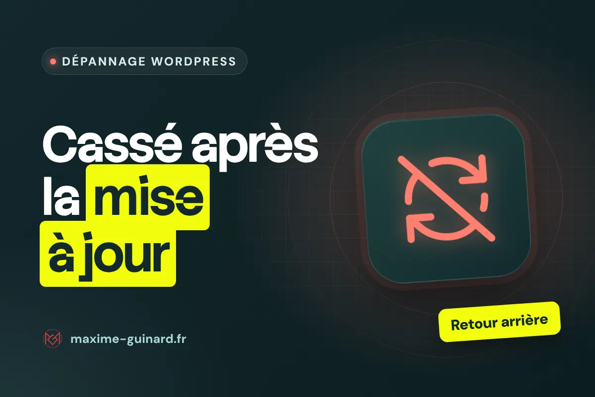 Illustration de l’article : WordPress cassé après une mise à jour